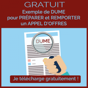 Téléchargez un exemple de DUME