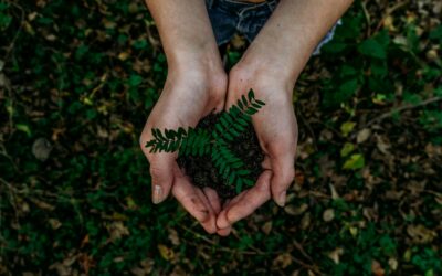 Critères RSE : moins de deux ans pour s’y préparer !